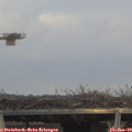 16_30-mast.jpg