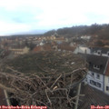 16_30-nest.jpg