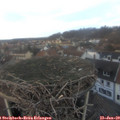 16_35-nest.jpg