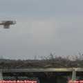 16_40-mast.jpg