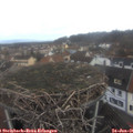 08_10-nest.jpg
