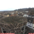 08_15-nest.jpg