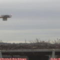08_20-mast.jpg