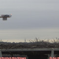 08_25-mast.jpg