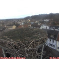 08_25-nest.jpg