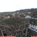 08_30-nest.jpg