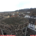 08_35-nest.jpg