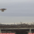 08_40-mast.jpg