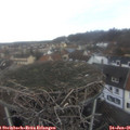08_40-nest.jpg