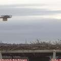08_55-mast.jpg