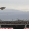 09_00-mast.jpg