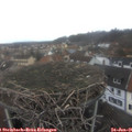 09_00-nest.jpg