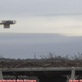 09_05-mast.jpg