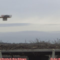 09_15-mast.jpg