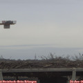 09_20-mast.jpg