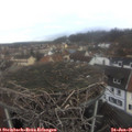 09_20-nest.jpg