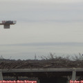 09_25-mast.jpg