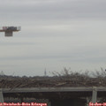09_30-mast.jpg