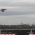 09_35-mast.jpg