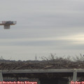 09_40-mast.jpg