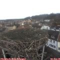 09_40-nest.jpg