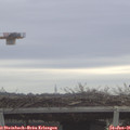 09_45-mast.jpg