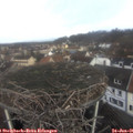 09_45-nest.jpg