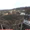 09_50-nest.jpg