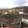 09_55-nest.jpg