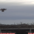 10_10-mast.jpg