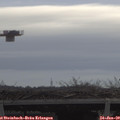 10_15-mast.jpg