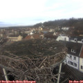 10_15-nest.jpg