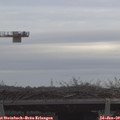 10_25-mast.jpg