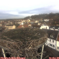 10_25-nest.jpg