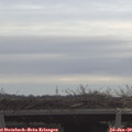 10_30-mast.jpg