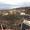 10_30-nest.jpg