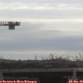 10_35-mast.jpg