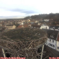 10_40-nest.jpg