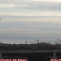 10_45-mast.jpg