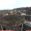 10_45-nest.jpg