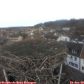 10_50-nest.jpg