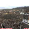 11_00-nest.jpg