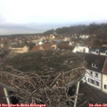 11_05-nest.jpg