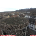 11_10-nest.jpg