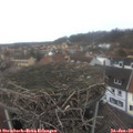 11_35-nest.jpg