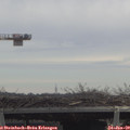 11_45-mast.jpg