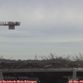 11_50-mast.jpg