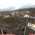 11_50-nest.jpg