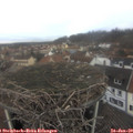 11_55-nest.jpg