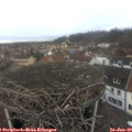 12_05-nest.jpg